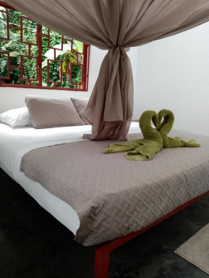 Bolita Trails And Lodging Dos Brazos Экстерьер фото