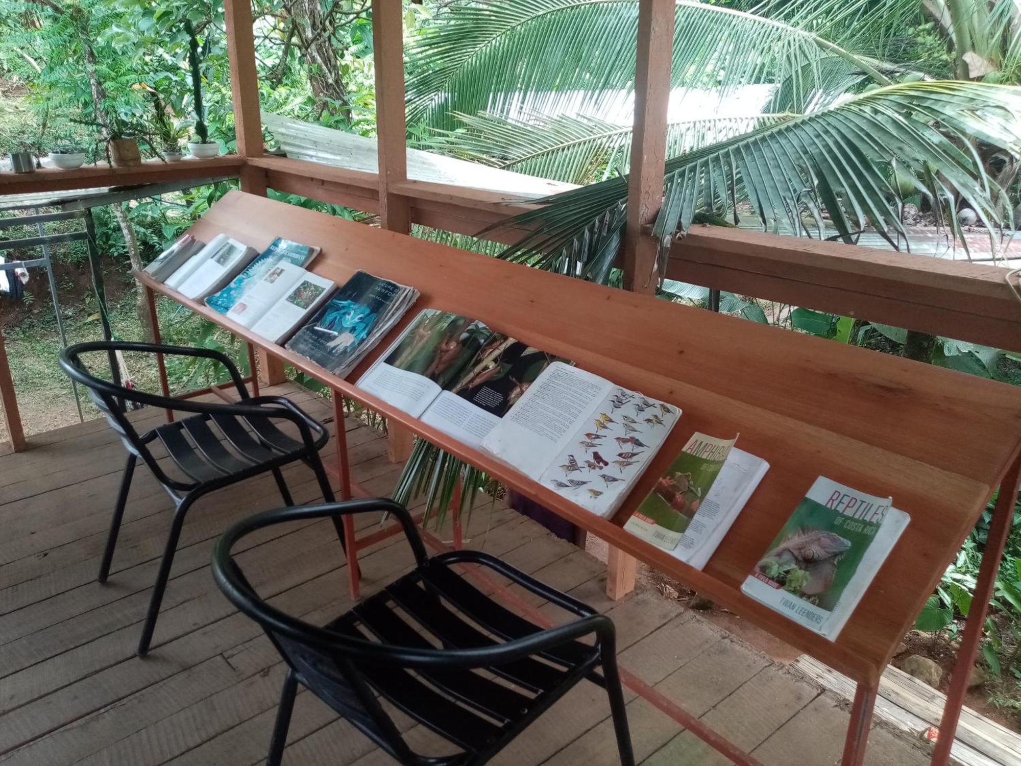 Bolita Trails And Lodging Dos Brazos Экстерьер фото